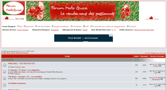 Desktop Screenshot of guzzi.webemoi.com